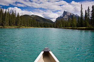 white v-hull boat on lake surrounded by arbor vitae during daytime, bow river HD wallpaper