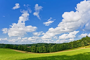 landscape photo of green field with clouds