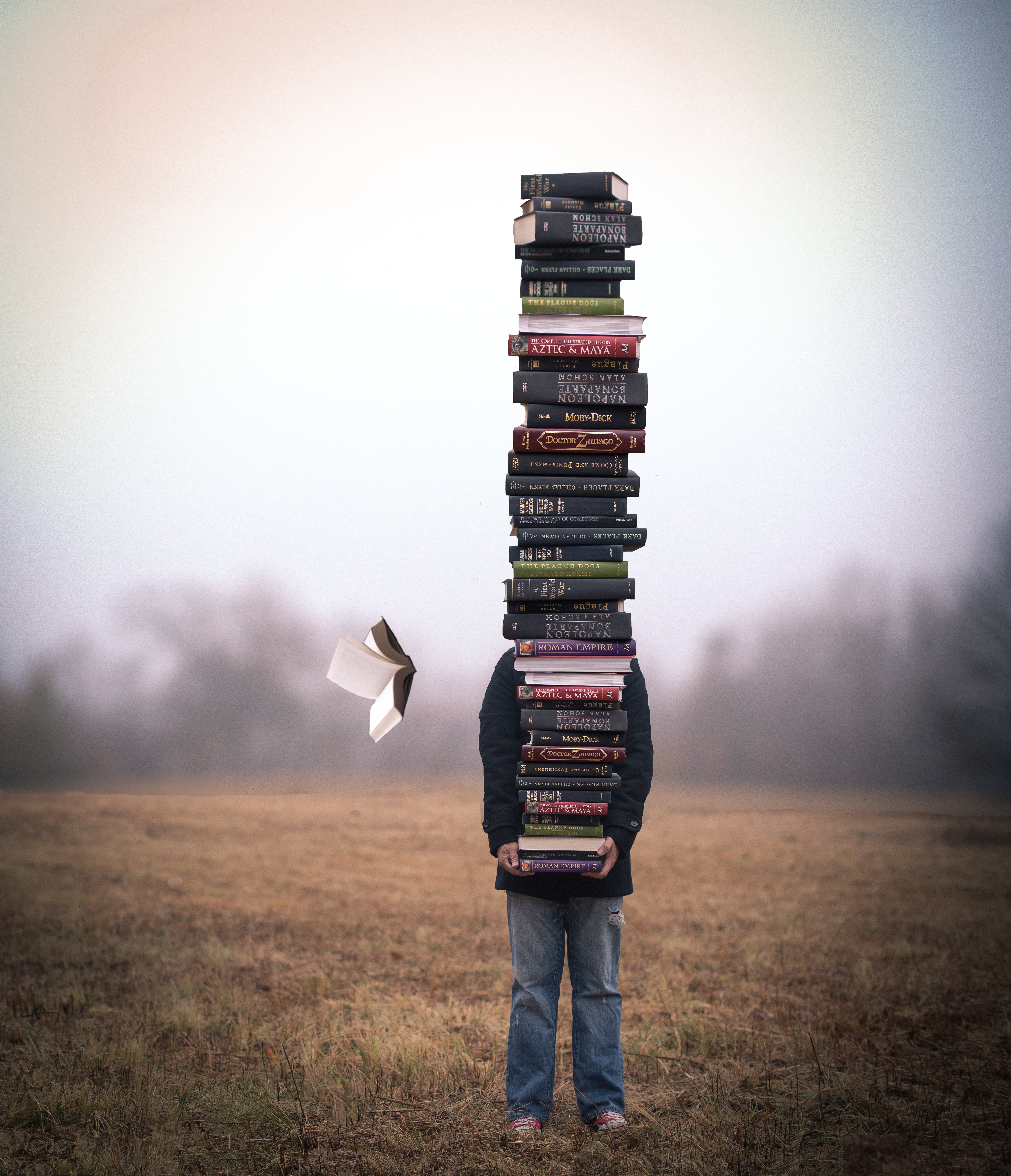 person standing carrying assorted books during daytime