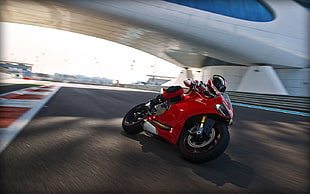 red Ducati sports bike, Ducati, motorcycle, Ducati 1199