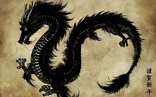 black Chinese dragon illustration, dragon, Chinese, fantasy art