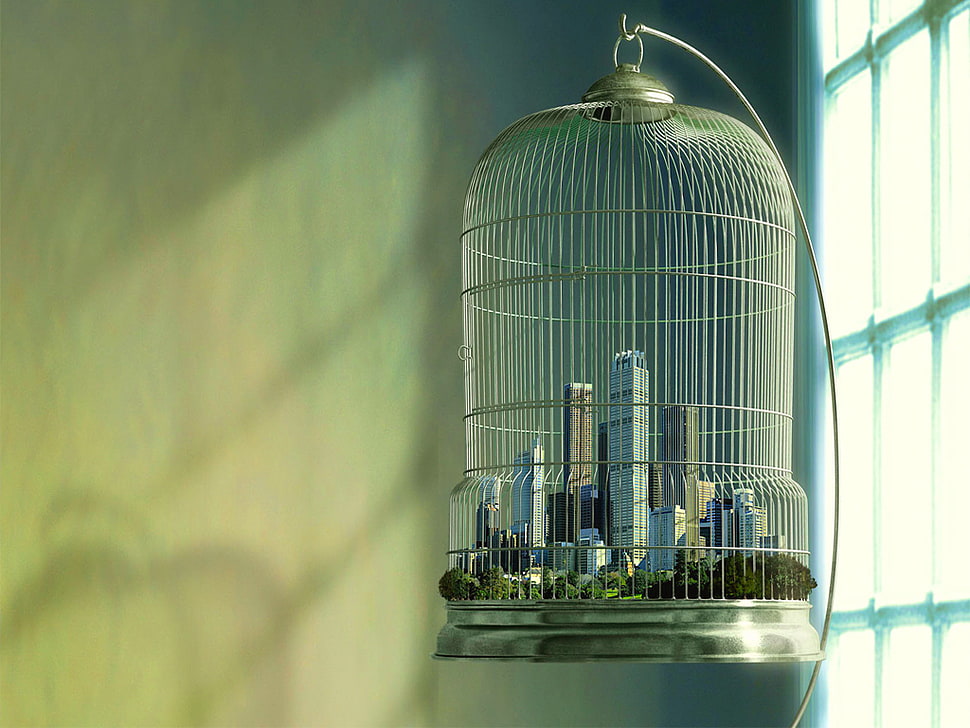 gray steel birdcage4, cages, digital art, cityscape, window HD wallpaper
