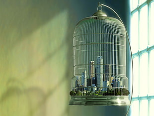 gray steel birdcage4, cages, digital art, cityscape, window