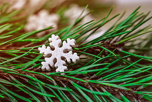 white snowflake decor, Snowflake, Spruce, Christmas HD wallpaper