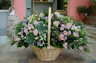 photo of green and pink flower on brown wicker basket