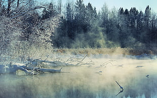 body of water, winter, ice, snow, landscape