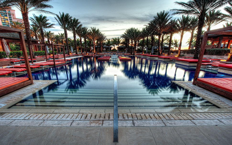 green leaf palm trees, swimming pool, palm trees, reflection, sky HD wallpaper