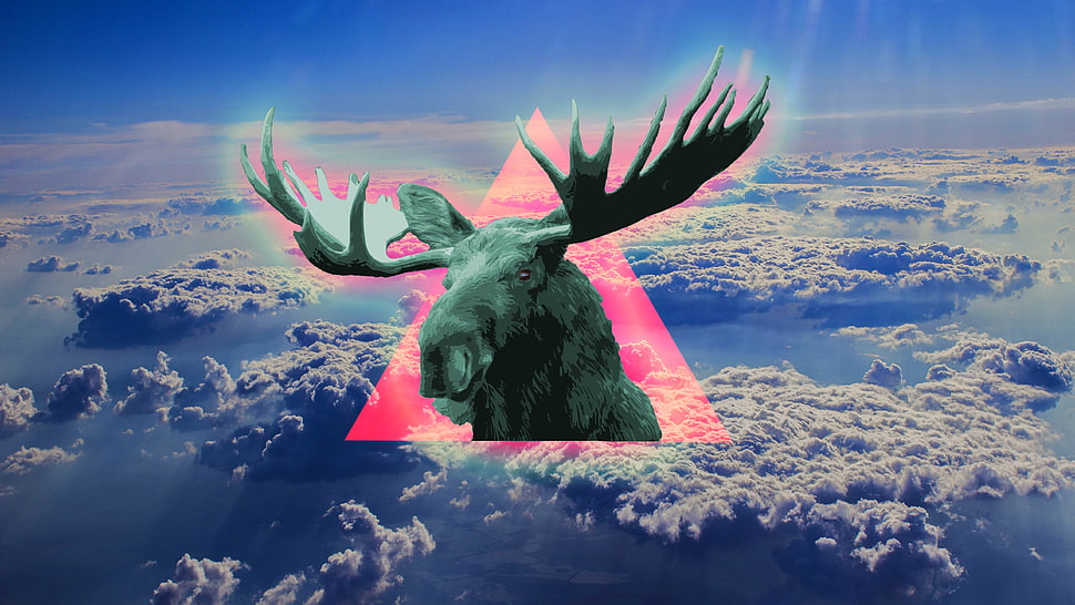 moose with triangle background photo HD wallpaper