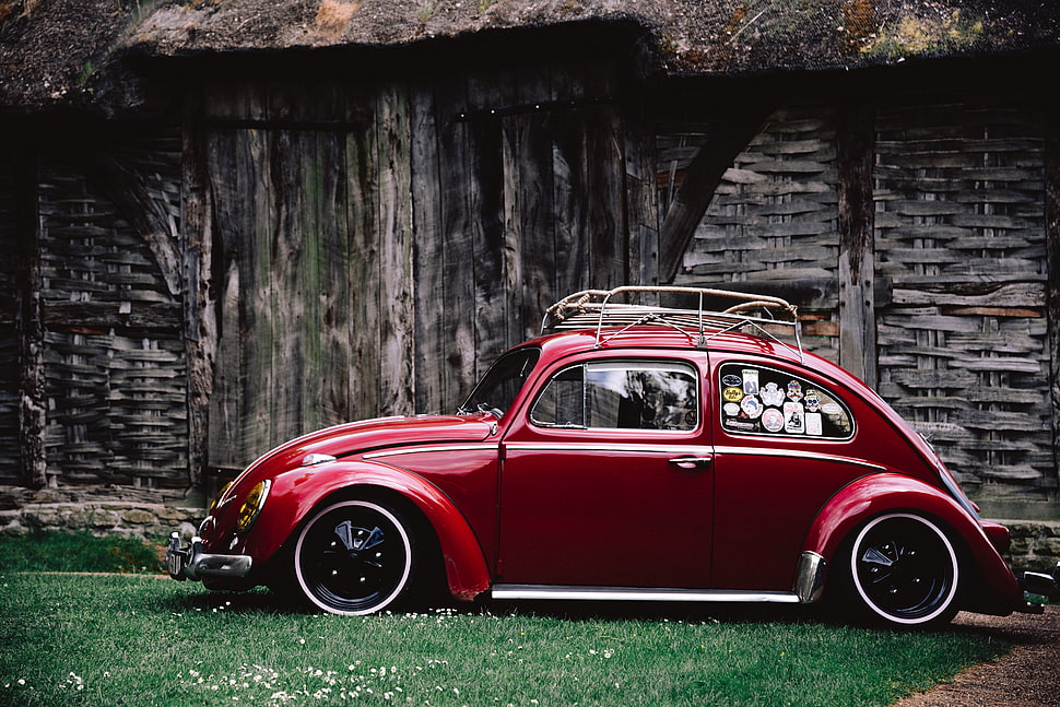 red Volkswagen Beetle during daytime HD wallpaper