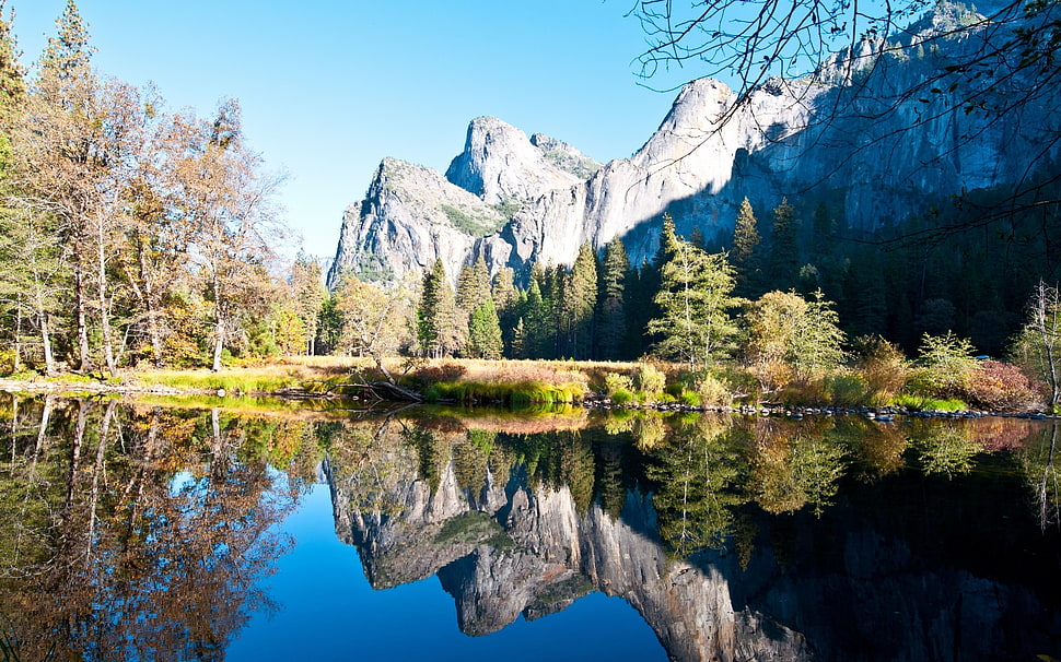 nature during daytime HD wallpaper