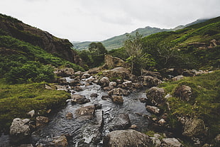 river surrounded by green grass and mountains at daytime