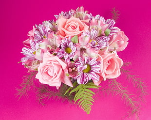 pink Rose flower bouquet HD wallpaper
