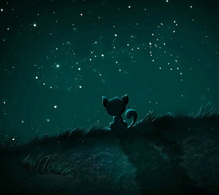standing cat facing fish bone star illustration, sky, animals, stars, cat HD wallpaper