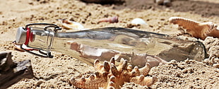 closeup photo of clear glass bottle HD wallpaper
