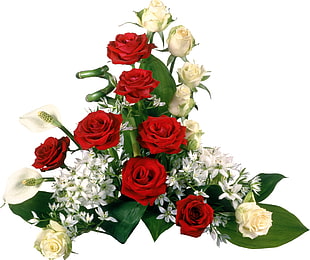 photo of red and white roses with white petaled flowers and leaves