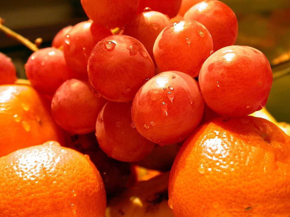 red grapes and orange fruits HD wallpaper