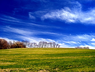 landscape photography of green grass field on a hill during daytime