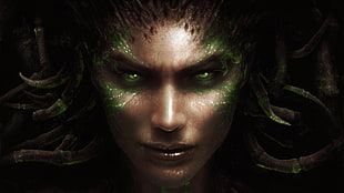 Medusa illustration, StarCraft, Starcraft II, video games, Sarah Kerrigan HD wallpaper