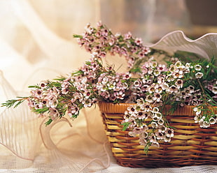 pink and white petaled flowers in brown wicker basket