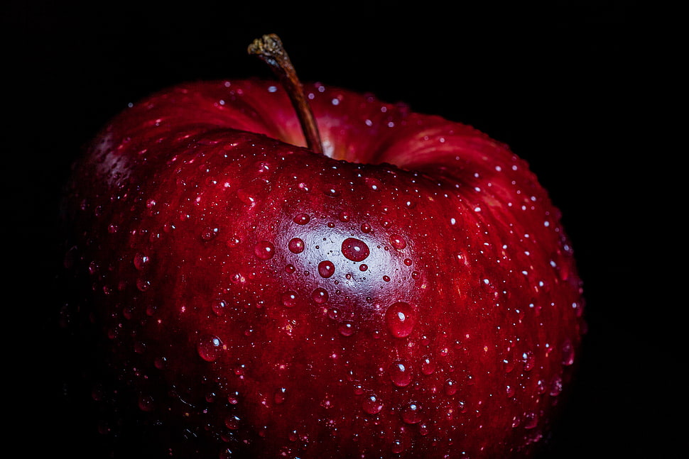 red Apple fruit HD wallpaper