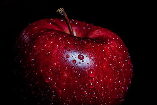 red Apple fruit