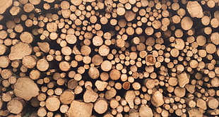 firewood lot, wood, pattern