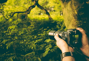 black DSLR camera, camera, depth of field, forest, hands HD wallpaper