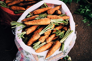 carrot lo, Carrot, Bag, Vegetables
