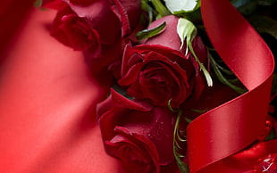 three red Rose flowers