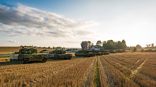 gray battle tanks, military, tank, Norwegian Army, Leopard 2 HD wallpaper