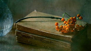 orange fruits on book, vintage, fruit, books, sea buckthorn