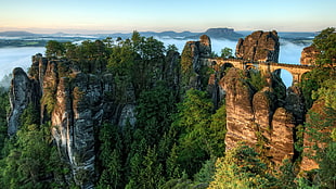 birds eye-view of bridge on mountain, nature, mountains, landscape, forest HD wallpaper