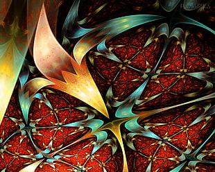 Fractal,  Flowering,  Pattern,  Patterns