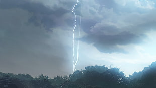 green leaf trees, anime, Makoto Shinkai , lightning