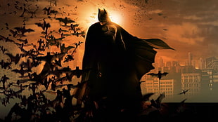 Batman in Arkham City photography HD wallpaper