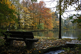 black wooden bench surrounded by green grass near body of water