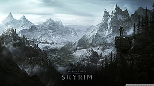 Skyrim poster, The Elder Scrolls V: Skyrim HD wallpaper