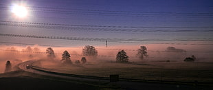 road with car during dusk