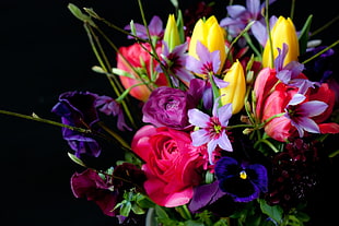 pink, yellow, and purple flower bouquet HD wallpaper