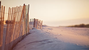 brown bamboo fence, beach, sand, fence HD wallpaper