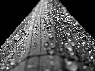 close up photo of water drops on black tube