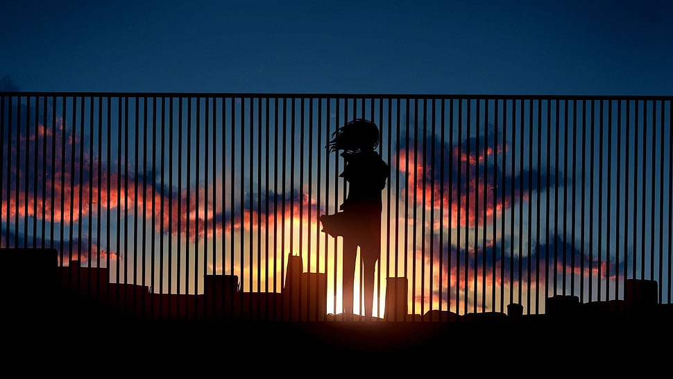 silhouette of person during nightime HD wallpaper