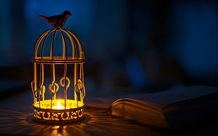 brown dome metal candle holder, birds, animals, candles, cages HD wallpaper