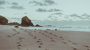 grey sand, beach, sand, footprints, rock HD wallpaper