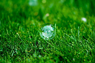 macro lens photo of water drop let on grass