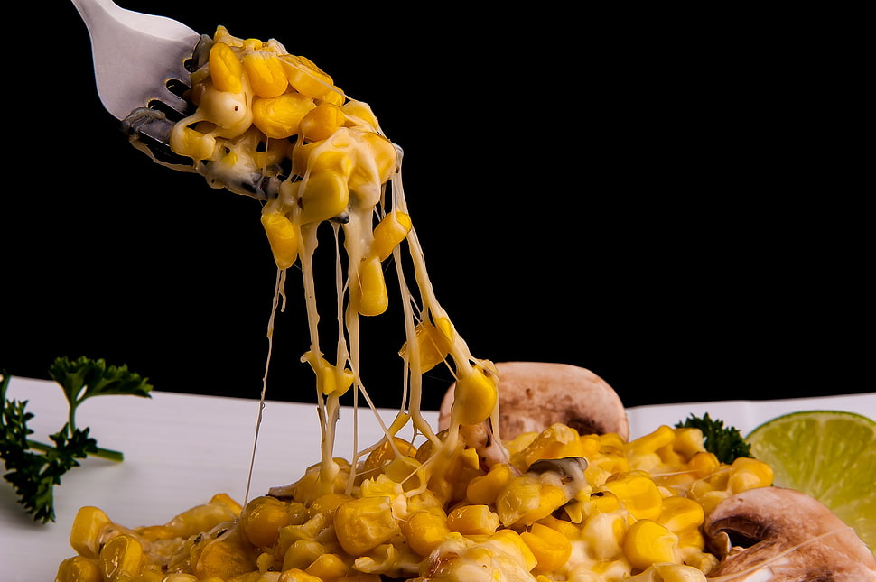 cooked corn kernels on white ceramic plate HD wallpaper