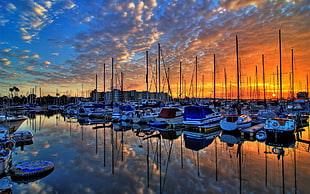 assorted-color fishing boat lot, reflection, clouds, sea, harbor