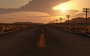 gray asphalt road, road, sunset, landscape