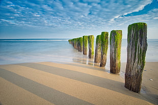 brown wooden pilars, beach, France, atlantic ocean, blue