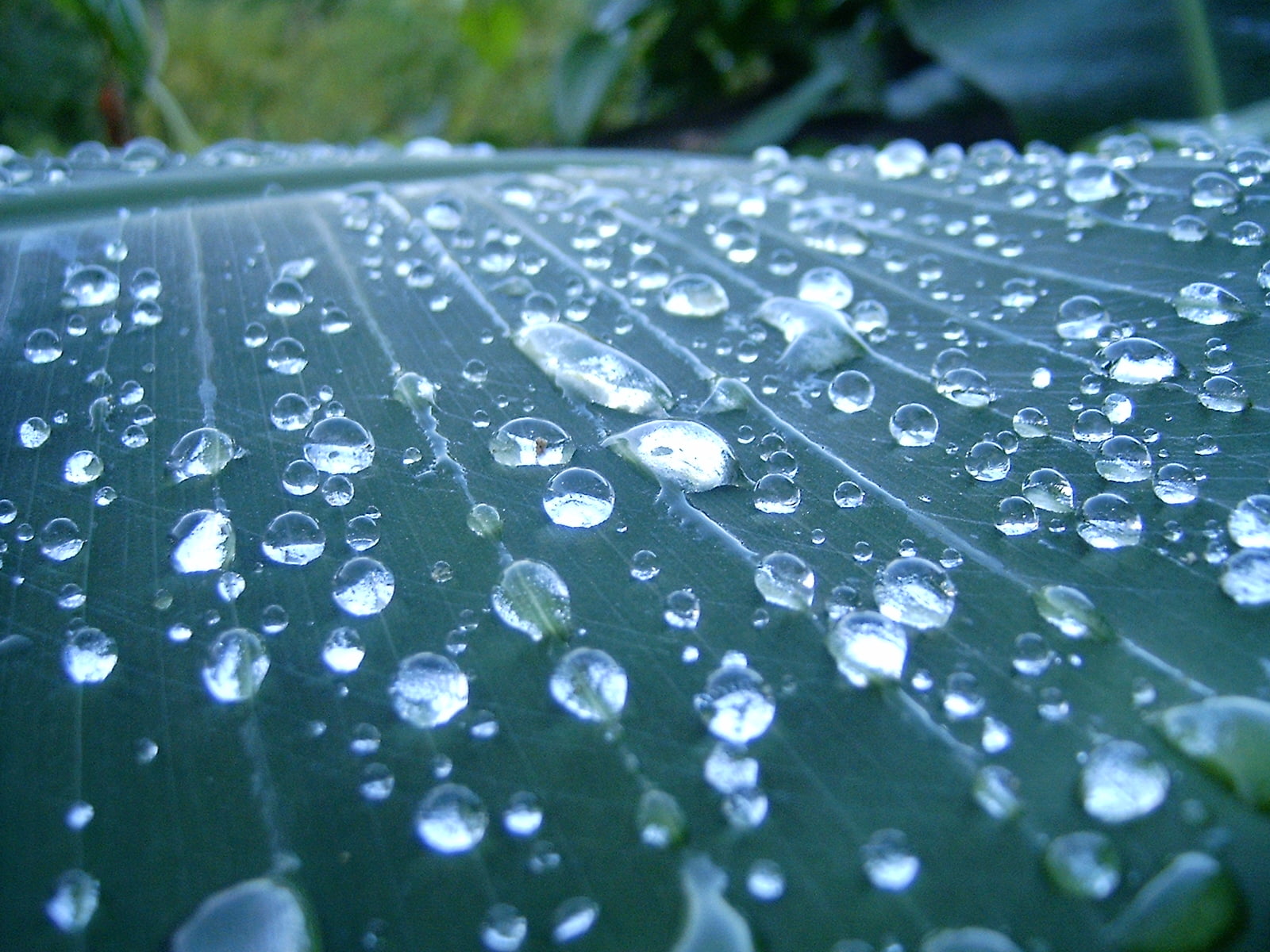 Капля воды слушать